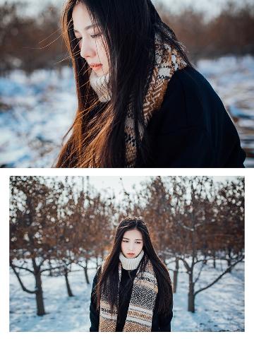 三分野电视剧免费观看完整版高清